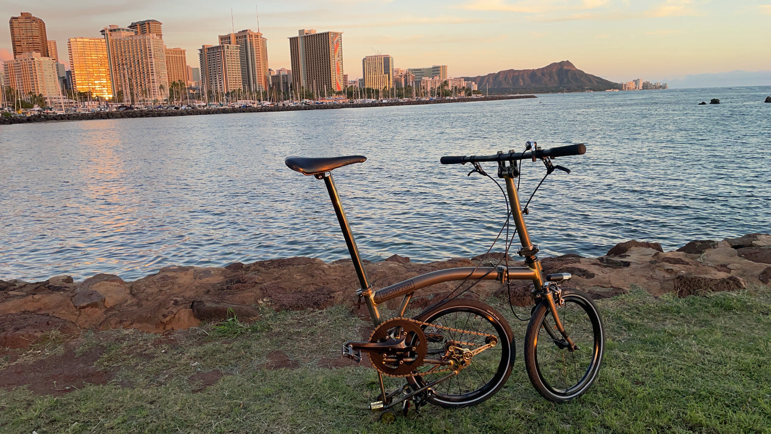aloha velo product